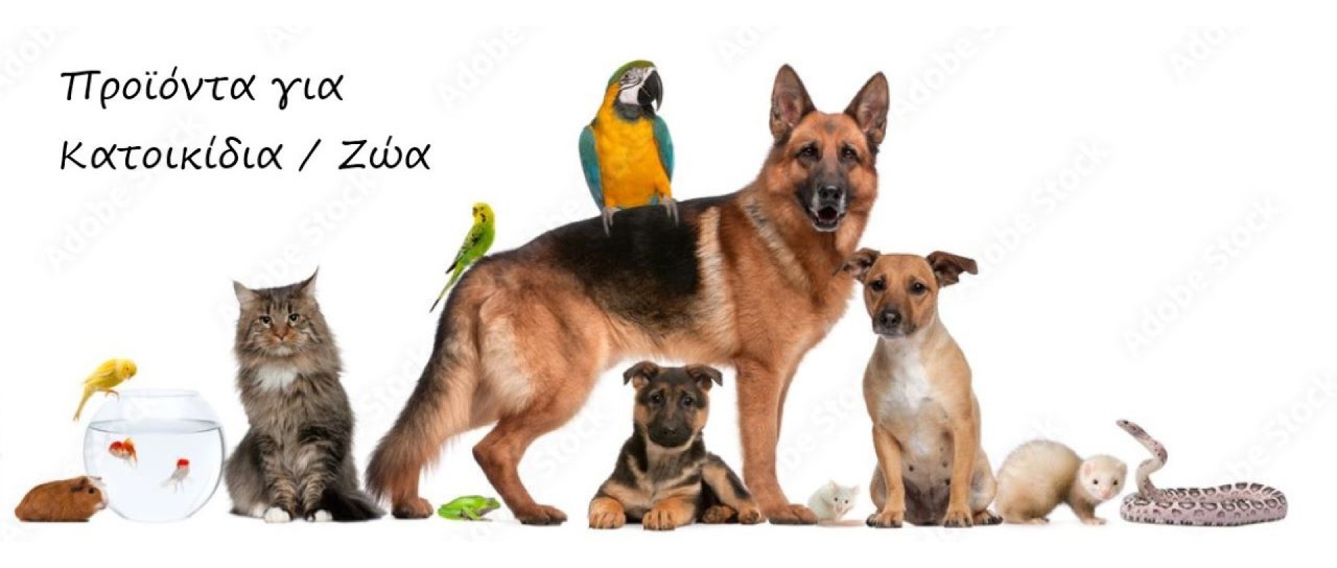pets.jpg